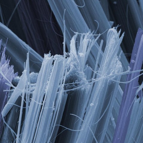 Graticules for Asbestos Analysis