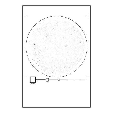 New Reference Slide for Particle Analysis