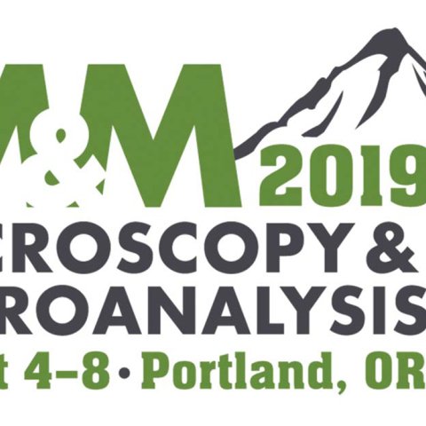 Graticules visiting M&M2019