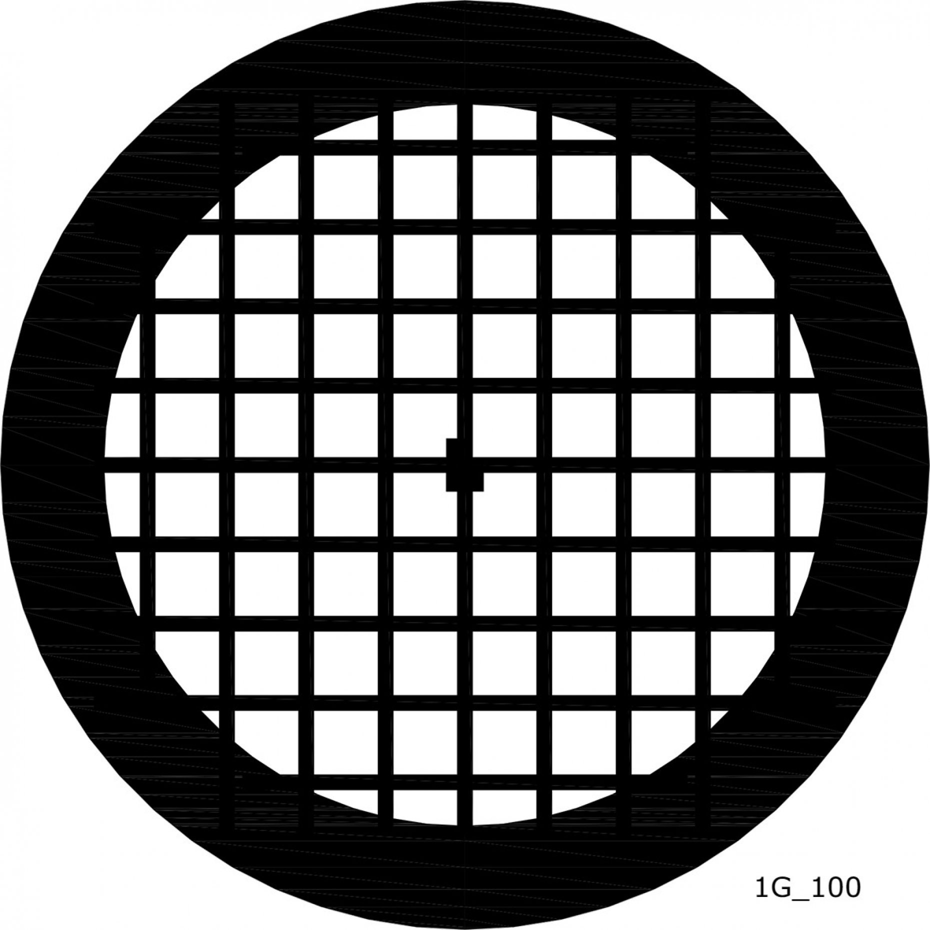 100 Mesh Grid