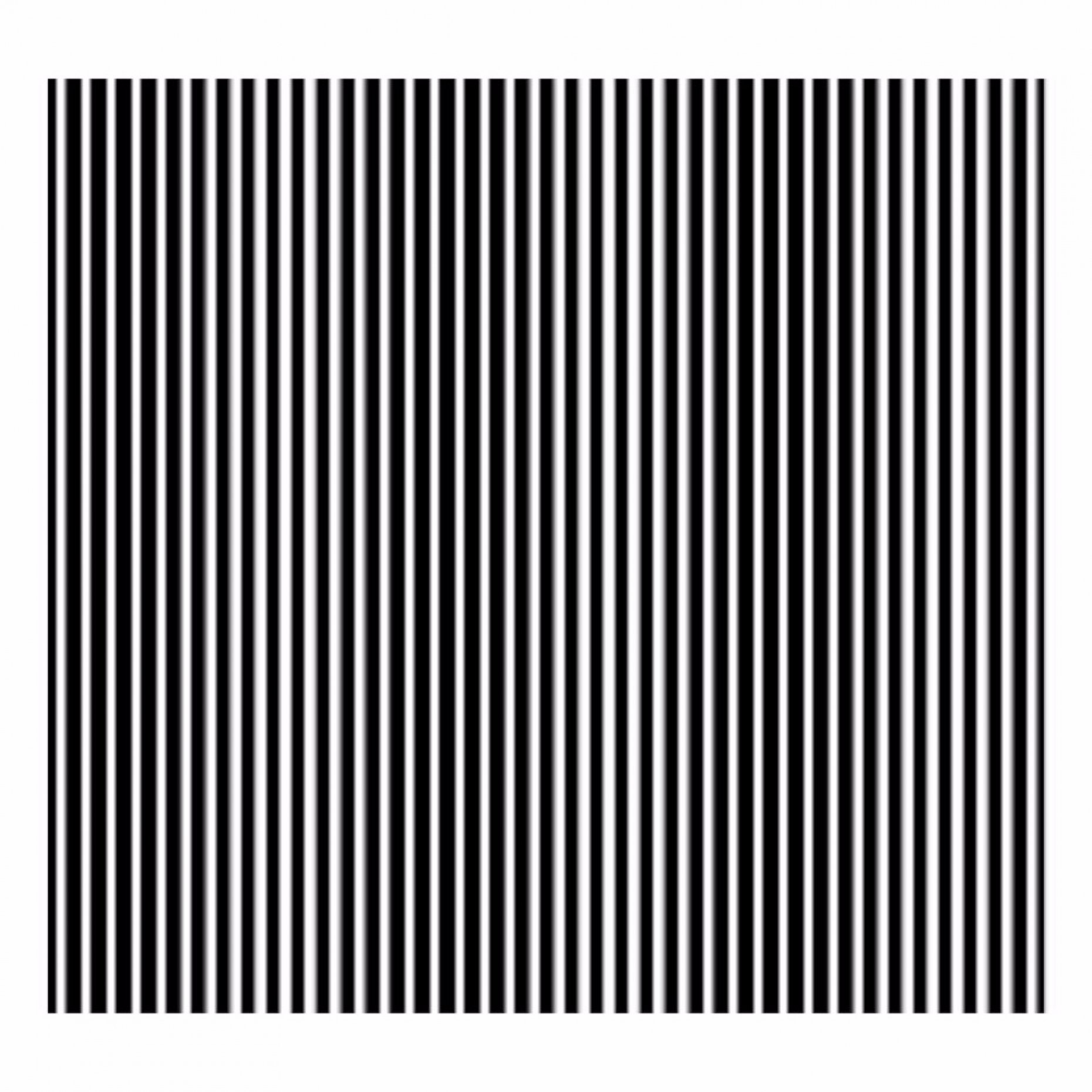 R17 Ronchi Ruling 40 Lines/mm Pattern