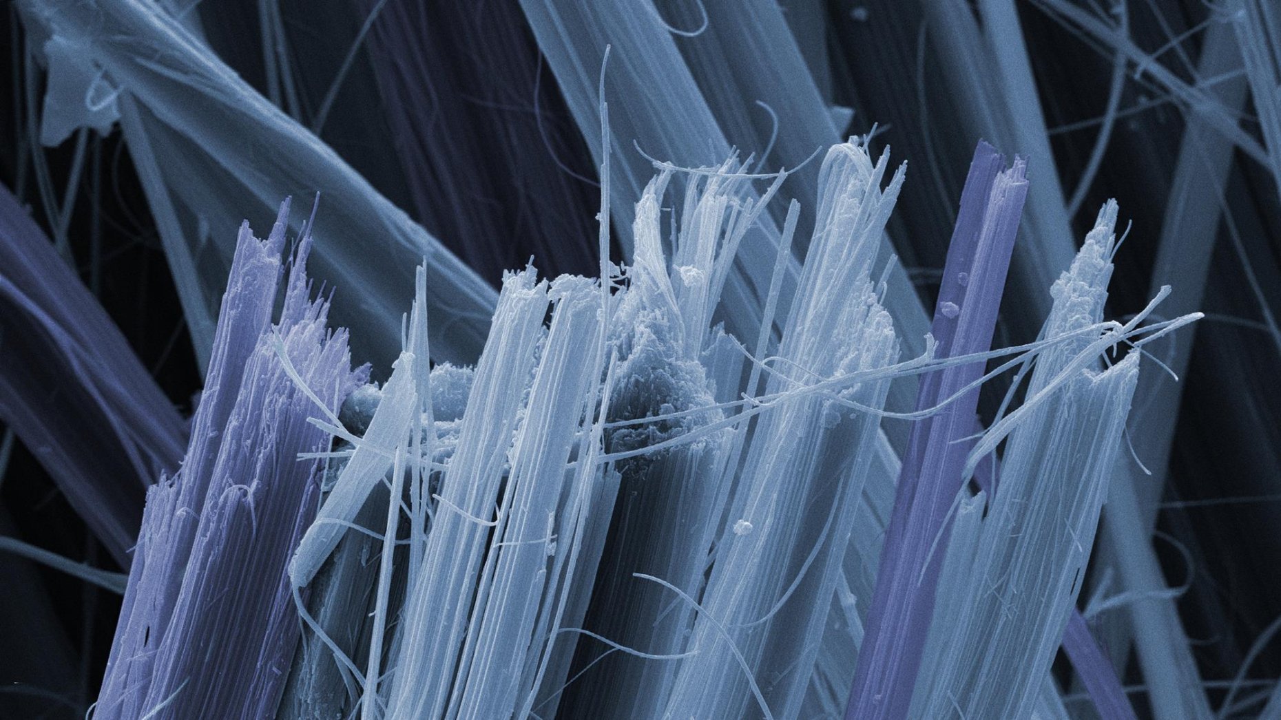 Graticules for Asbestos Analysis