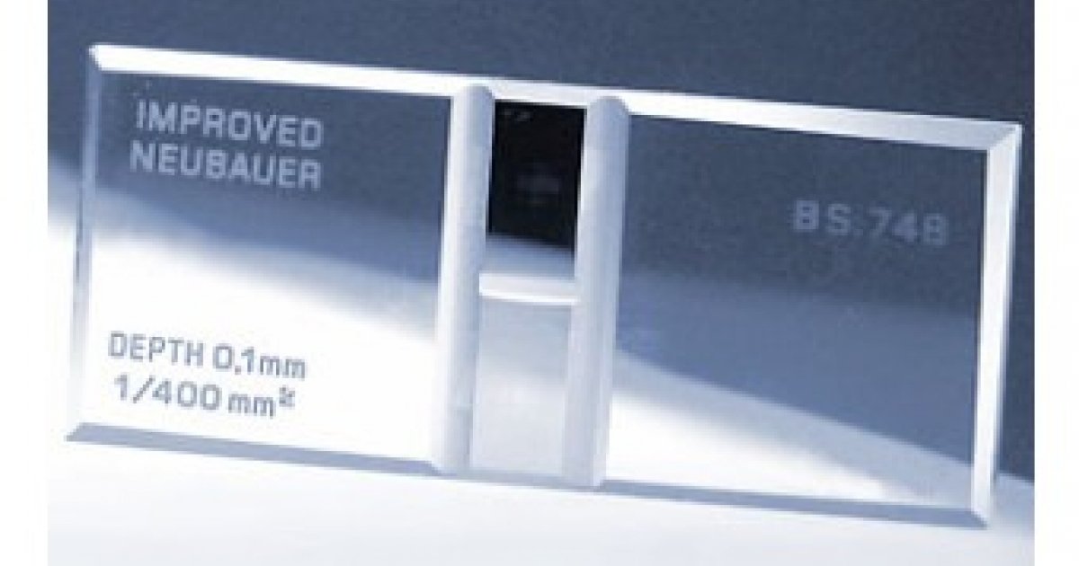 Improved Neubauer Counting Chamber, Double Cell